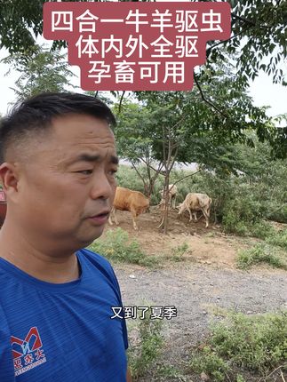 四合一牛羊驱虫体内外全驱孕畜可用