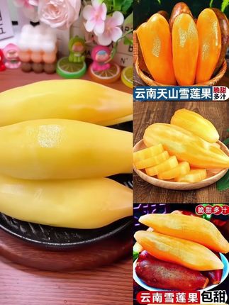 #天山雪莲 #雪莲果 #口感特别好 #鲜嫩多汁的水果