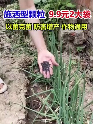2袋装【每袋500克】撒施型清菌颗粒用于瓜果蔬菜农作物