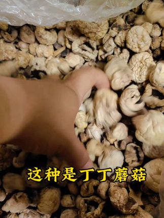 #优质农产品 #三塘湖辣皮子#野蘑菇