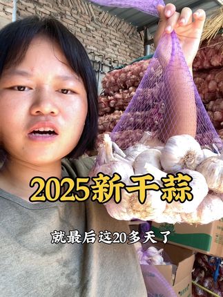 今年的新干蒜,喜欢吃大蒜的姐妹抓紧赶快,还有二十天就要进冷库了#大蒜#农家大蒜