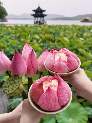 过了山海关只有一座山,揭开赵本山神秘靠山背后的秘密#赵本山 #赵文卓 #中国古代算命术 #古书古籍
