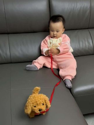 每天都要溜溜她的小狗狗🤭因为它会跑会叫还会摇尾巴宝宝真的好喜欢玩~#自己玩的不亦乐乎 #萌到爆炸了💥 #人类幼崽 #根本停不下来 #仿真狗狗