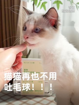 猫咪出现母鸡蹲、咬塑料吐毛这些行为就是肚子里堆满猫毛了,记得及时给它喂化毛球片#排毛球猫猫专用 #猫草片 #化毛猫咪专用 #久久喵化毛球片 #nucat猫草片