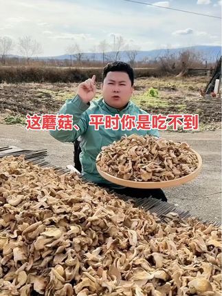 炖小鸡、炖肉老香了 山里的硬菜元蘑#蘑菇