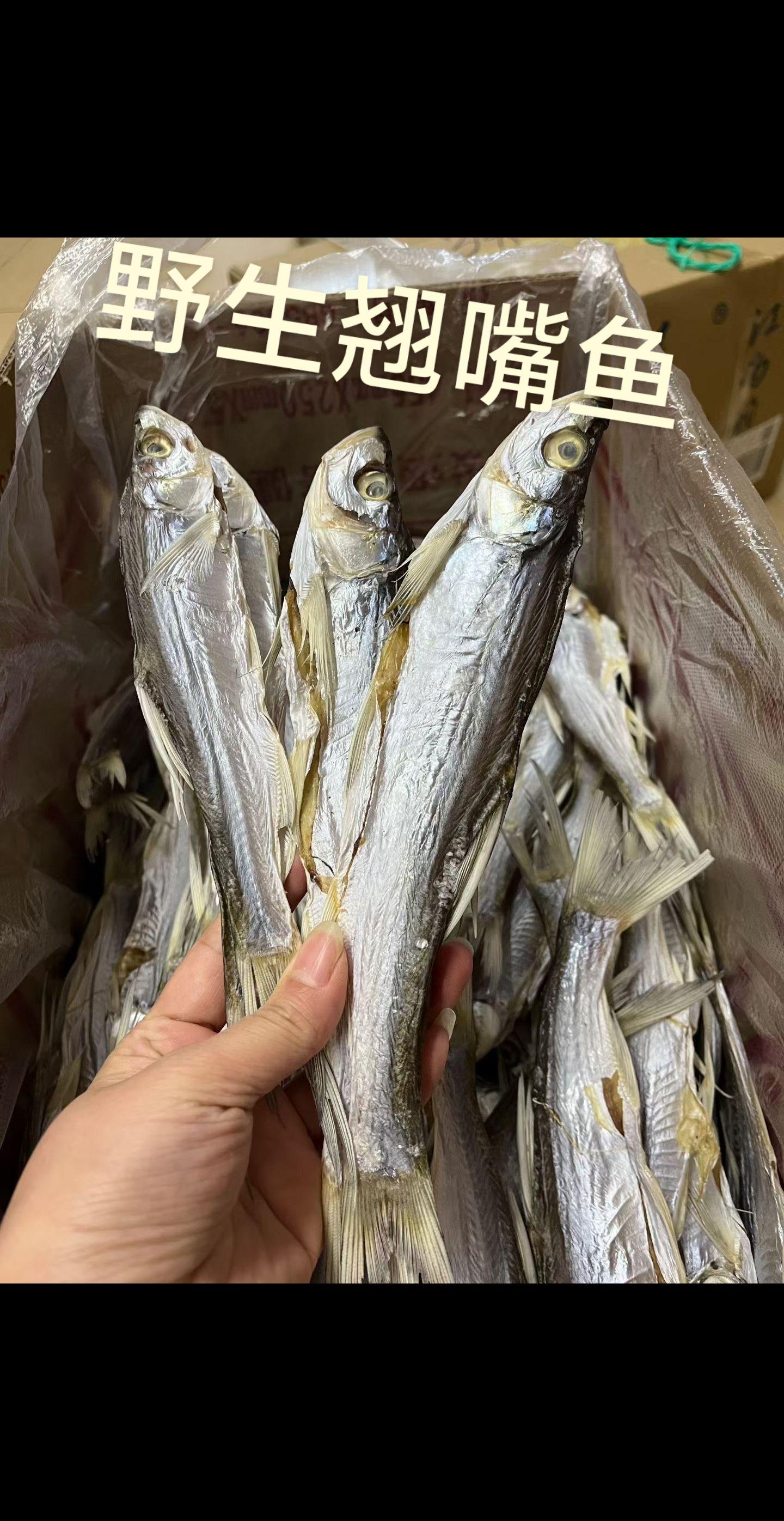 肉多多的翘嘴鱼,吃的到的鲜美,香煎干炸红烧清蒸都好吃#江西特产 #鱼米之乡 #淡水湖鱼 #我要上热门🔥