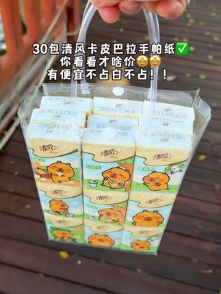 #无限回购的宝藏单品 #纸巾 #清风卡皮巴拉手帕纸
