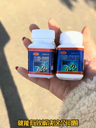 用了它,鱼儿身上的白点白毛不见了#鱼儿白点白毛…#养鱼常见问题处理#养鱼小常识#水族好物