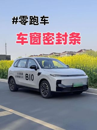 别让车窗缝毁了开车体验!装这款密封条,胎噪、灰尘全隔绝,还能护车窗升降器,适配性强好上手,清净又省心! #零跑 #车品 #密封条 #车窗密封条 #汽车好物推荐