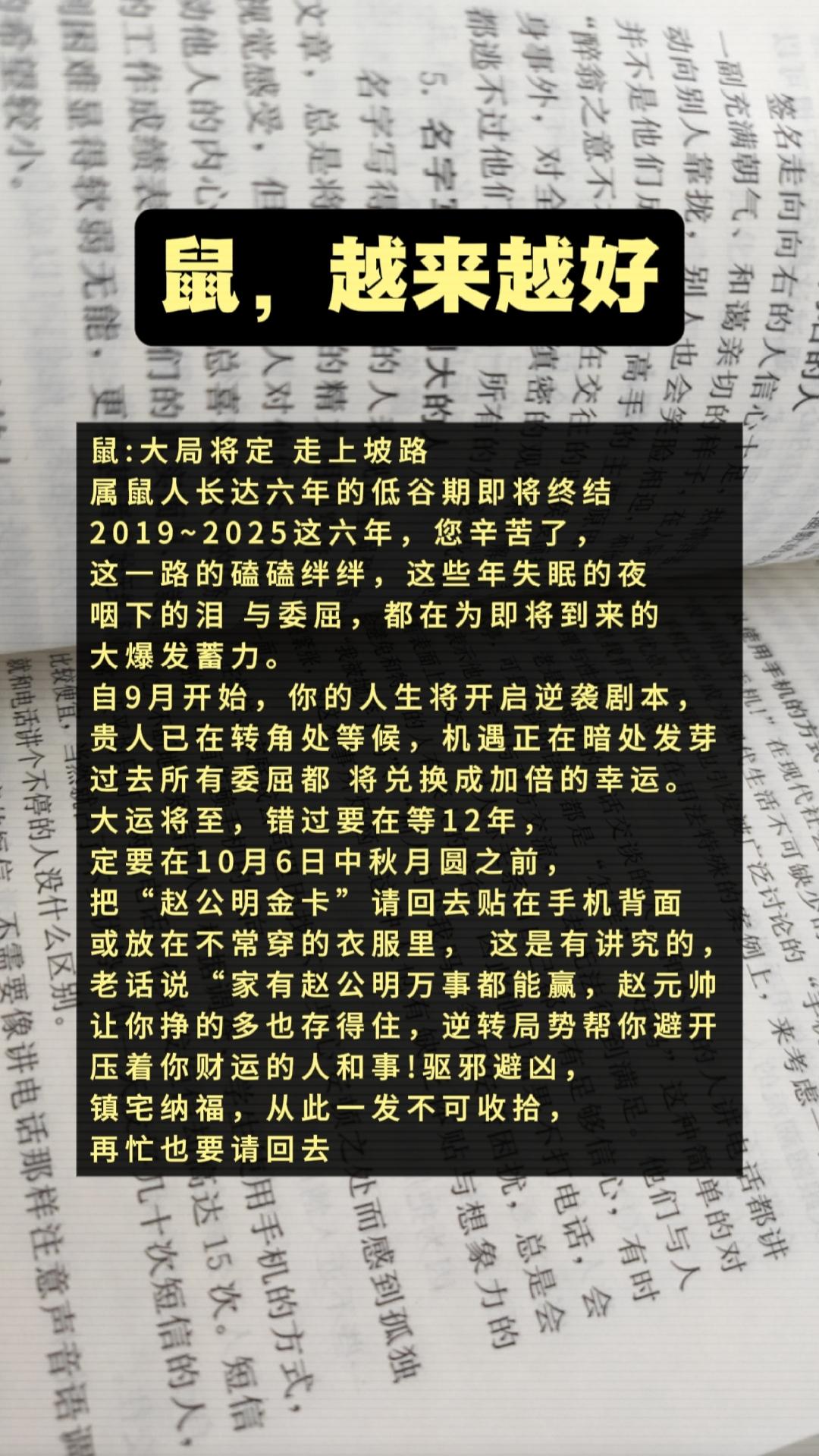 #鼠 #属鼠 #生肖鼠