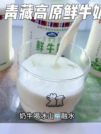 回购很多次的青藏高原鲜牛奶,真的好喝特别香浓~ #青海湖鲜牛奶 #鲜牛奶 #牛奶推荐 #奶香浓郁营养丰富 #纯牛奶