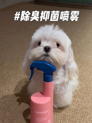 这款在我家已经是一只囤货的产品了 很多一只宠物店里也是用的他家!真的很不错 #戴丝尼 #除臭喷雾 #养宠除臭 #养宠进阶指南 #狗狗