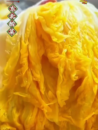 东北大缸酸菜 、嘎嘎好吃的东北酸菜!#美食推荐 #今天吃啥 #酸菜 #猪肉炖粉条#酸菜的做法