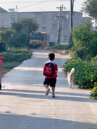 这货就没有正常走过路,不是跑 就是跳,主打一个开心快乐😂#萌娃 #农村生活 #日常分享 #人类幼崽到底多可爱