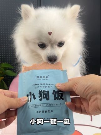 现在一包只需要一块多 都知道狗狗不能长期吃干粮,向善家这个小狗饭狗狗吃真的很放心#新手养狗 #小馋狗#好吃到停不下来 #小狗饭#宠物湿粮