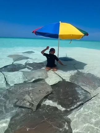 最治愈人心的便是这世间的风景#治愈系风景 #旅行推荐官 #vlog旅行记