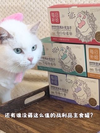 不会还有人没吃过战利品的罐罐吧!#战利品每日精控 #战利品主食罐头 #猫咪罐头 #猫罐头 #猫罐头推荐