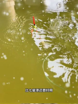 秋冬季节钓鲫鱼别再用七星漂了,逆光反光一点都看不清,会错失很多鱼口#浅水草洞 #立漂传统钓 #大板鲫克星