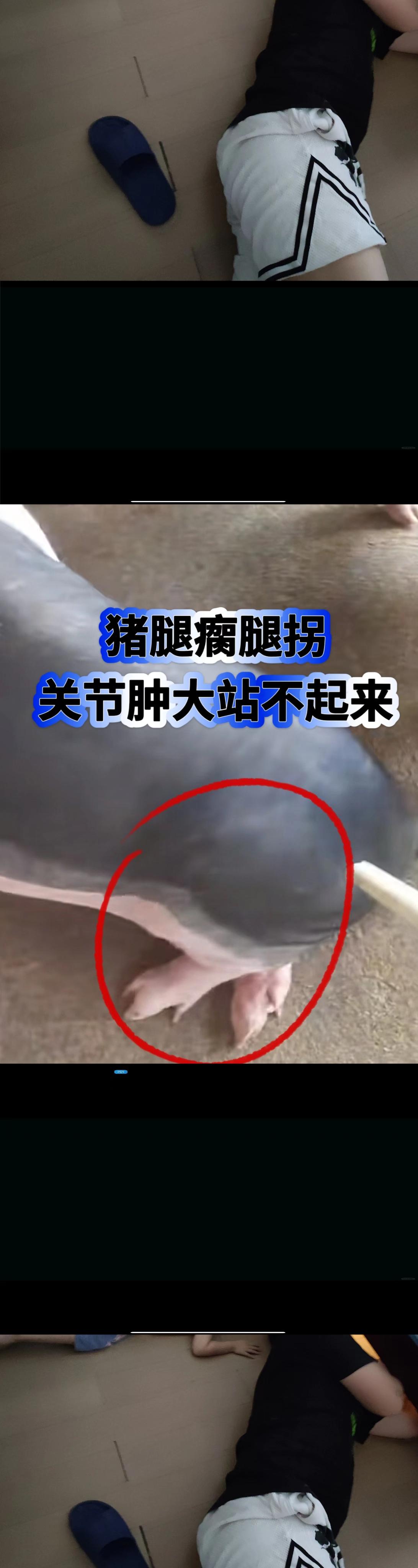 #养殖 #养殖人加油 #养殖技术 #养殖场 #养殖场专用