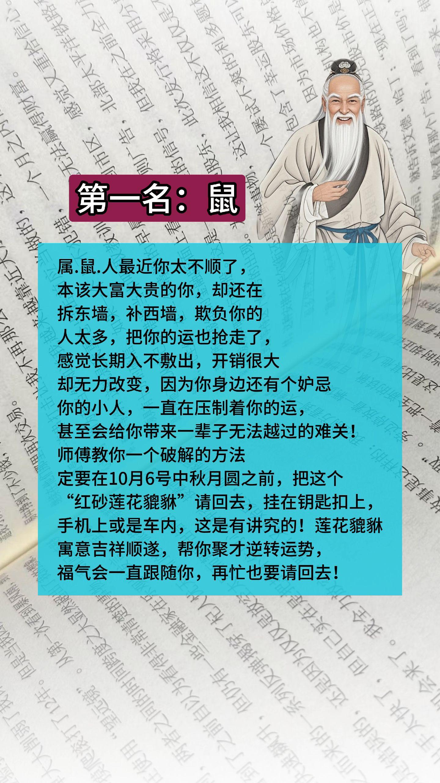 #鼠 #属鼠 #生肖鼠