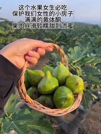 随手买的无花果被惊艳到了,真的巨巨巨甜,颗颗流蜜就跟蜂蜜一样#无花果 #快来一起尝个鲜 #助农水果