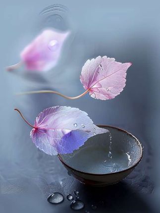 治愈人心又充满想象力的童诗,让孩子每天读一读,随便一句写近作文里都是锦上添花#作文素材#作文#好书分享#写作技巧