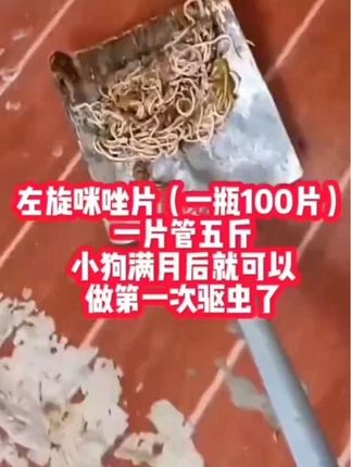 兽用盐酸左旋咪唑猪牛羊驱虫药猫咪小狗犬宠物打虫抗蠕线虫肺丝虫#猪牛羊驱虫 #狗狗驱虫 #驱虫