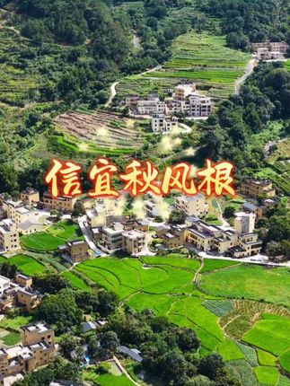信宜贵子秋风根,藏在山水间的世外桃源!梯田环绕,绿意盎然,快来感受自然的魅力吧#自然风光 #信宜秋风根