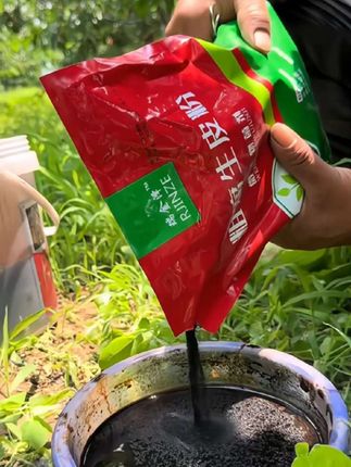 #粗腐生皮粉#果树流胶#果树流胶病#果树种植