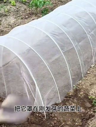 #防虫网#大棚专用蔬菜防虫网#尼龙养殖场防蚊网#果园防虫网。