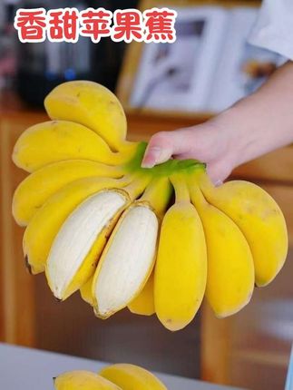 蕉中皇后!正宗广西#苹果蕉 ,果香浓郁,口感细腻嫩滑 #香蕉 #新鲜应季水果 #苹果香蕉 #口感特别好