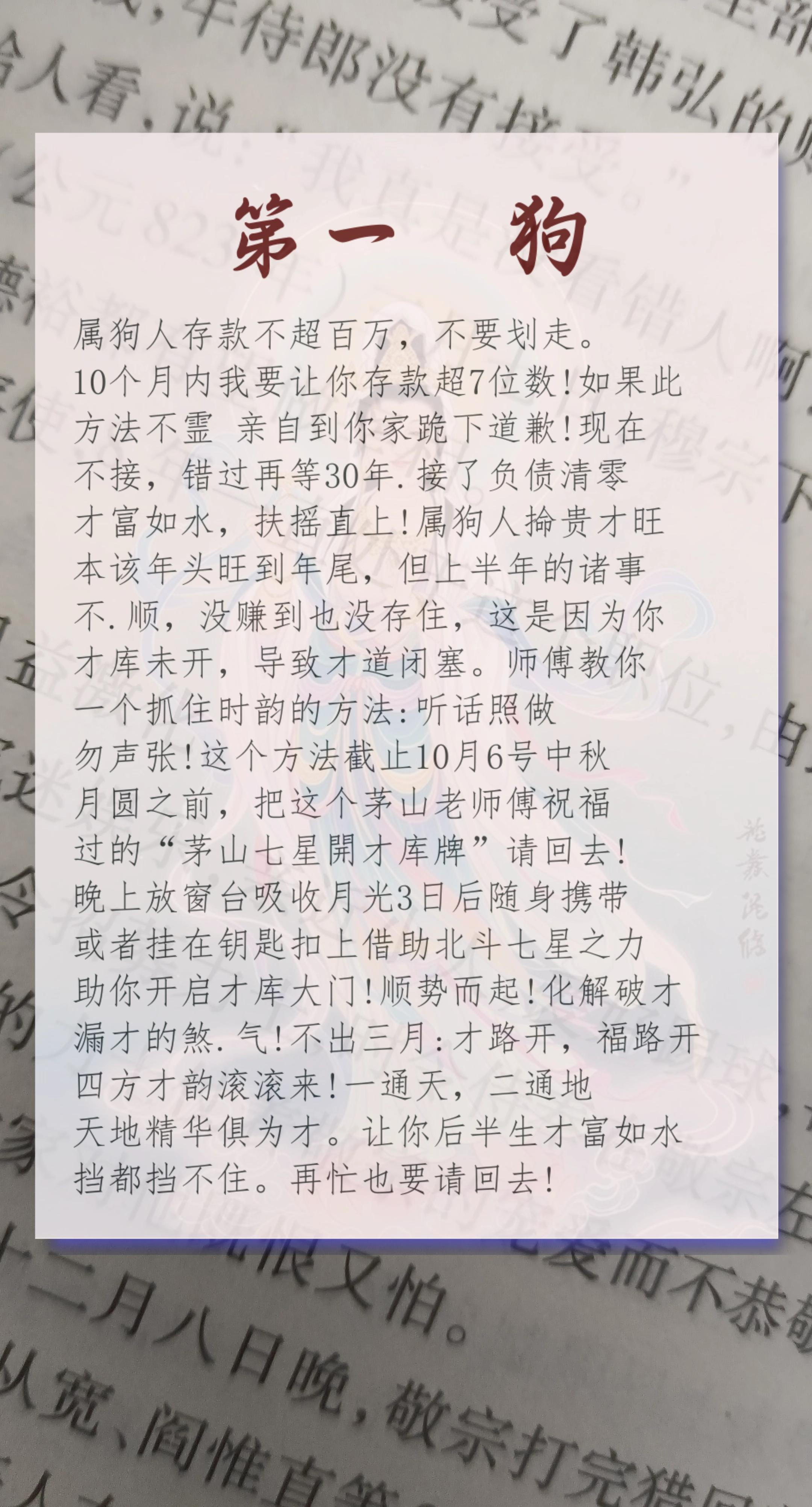 #鼠 #生肖鼠 #属鼠