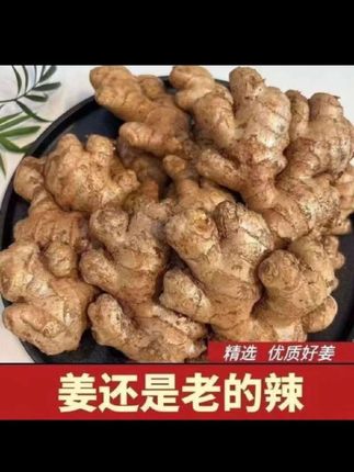 【现挖现发】云南高山老姜新鲜小黄姜生姜土姜月子姜姜母0.5/9斤 #新鲜云南高山小黄姜 #嫩姜的功效 #无公害生姜 #土姜