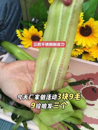 轻松去皮,家用多功能削皮刀刮刀,仅售3.99元3把#多功能#好物推荐🔥 #实用好物 #削皮刀 #实用分享