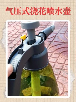 园艺用气压式浇花打药喷水壶 园艺喷壶专用气压式喷水壶浇水壶浇花大洒水壶喷雾器消毒清洁喷雾#浇花 #实用工具 #实用好物 #气压喷壶 #浇花喷壶