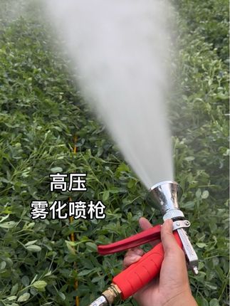 #三农 #抖音助农扶农 #助力三农 农用高压雾化喷枪,雾化3-4米直喷6-7米