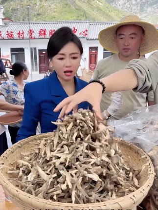 禾菇娘鹿茸菇新货头茬活动古田高山无硫无熏干货凉拌炒肉煲汤#家乡好货 #农特产品 #山货 #强烈推荐 #助农