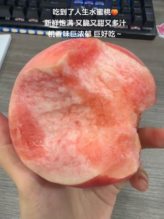 心心念念的终于到了!嘎嘣脆啊!大荔冬枣~冬枣中的爱马仕,核小肉厚,超级脆 超级甜,枣味十足 好吃到哭😭#冬枣 #快来一起尝个鲜 #大荔冬枣 #优质农产品 #应季水果