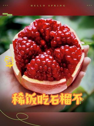 稀饭吃石榴的不要错过了#快来一起尝个鲜 #强烈推荐 #水果