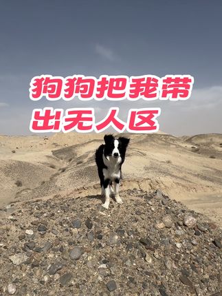 狗狗把我带出无人区 我们两人四猫一狗自驾旅行,途中休息时间我们和狗狗去戈壁滩捡石头回来时找不到车了最新狗狗把我带回了停车位置。狗狗不仅仅是我们人类最忠实的朋友,更是生活中不可缺少的伙伴!#自驾旅行 #携宠出游 #带着狗狗去旅行 #猫狗双全 #狗狗成精了