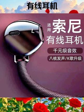 耳机有线入耳式typec接口适用于华为vivo小米圆孔电脑高音质降噪#数码 #数码科技 #数码好物 #数码配件 #有线耳机