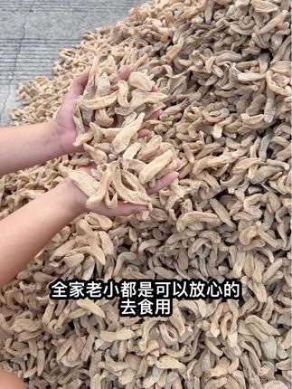 自然本色天麻#天麻炖鸡 #天麻炖排骨 #天麻粉 #天麻鱼头汤