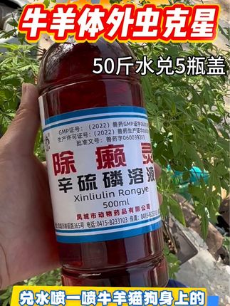 #三农养殖 #牛羊体外虫克星.牛羊身上喷一喷虱子跳蚤蜱虫螨虫扫光光.孕畜可用