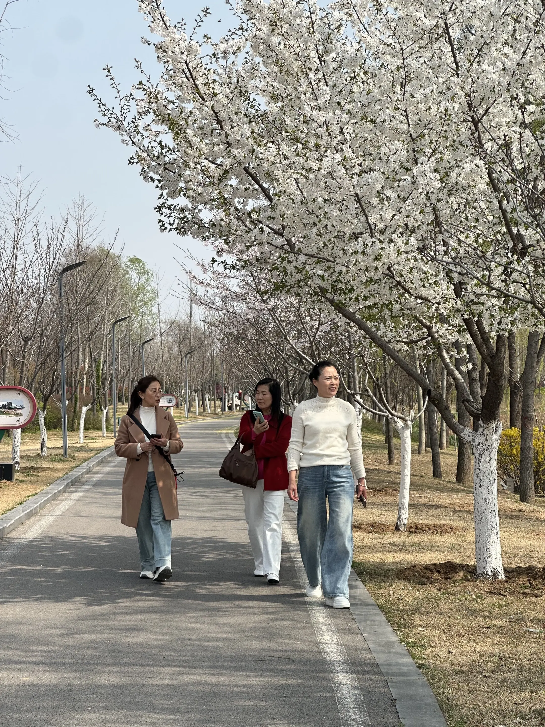 春日漫游,闺蜜同行,把平凡的日子,过成喜欢的样子 🌟🌟 - 抖音