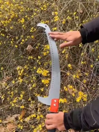 德国品质多功能不锈钢伸缩杆,高枝锯,园林果树锯子,树枝加长杆高空锯#不锈钢高枝锯#高枝锯#园林工具 #高性能实用工具 #果园管理