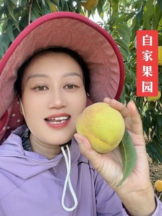 #应季水果 #锦绣黄桃#我的农村生活 #现摘现发#口感脆甜离核