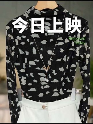 2025秋季新款洋气百搭独特漂亮小衫半高领网纱长袖打底衫女