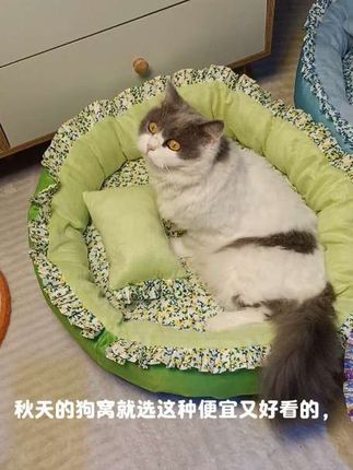 入秋了,你们给毛孩子安排好看又舒适的公主窝了吗#小狗窝四季通用 #狗窝#猫窝#养宠好物
