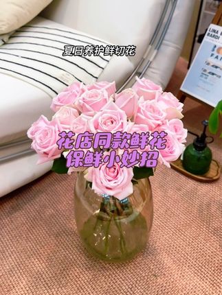 夏日养护鲜切花,谁没遭遇过闹心状况?精心搭配的花束刚摆好,短短两天就尽显颓态,只要用对它能延长一倍,让夏日养花不再是难题#鲜花养护#爱生活爱养花#鲜花泡腾片#鲜花#网购鲜花养护