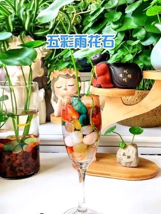 这么#晶莹剔透 的五彩雨花石,有喜欢的吗?用来鱼缸造景,花盆铺面,水培植物都是很不错的选择哦!#雨花石 #五彩雨花石 #水培铜钱草